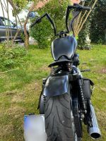 Harley Sportster Iron 883 Bayern - Pottenstein Vorschau