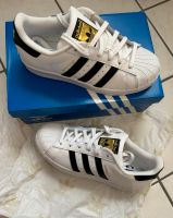 adidas Superstar J Original NEU 37 1/3 Nordrhein-Westfalen - Altenbeken Vorschau