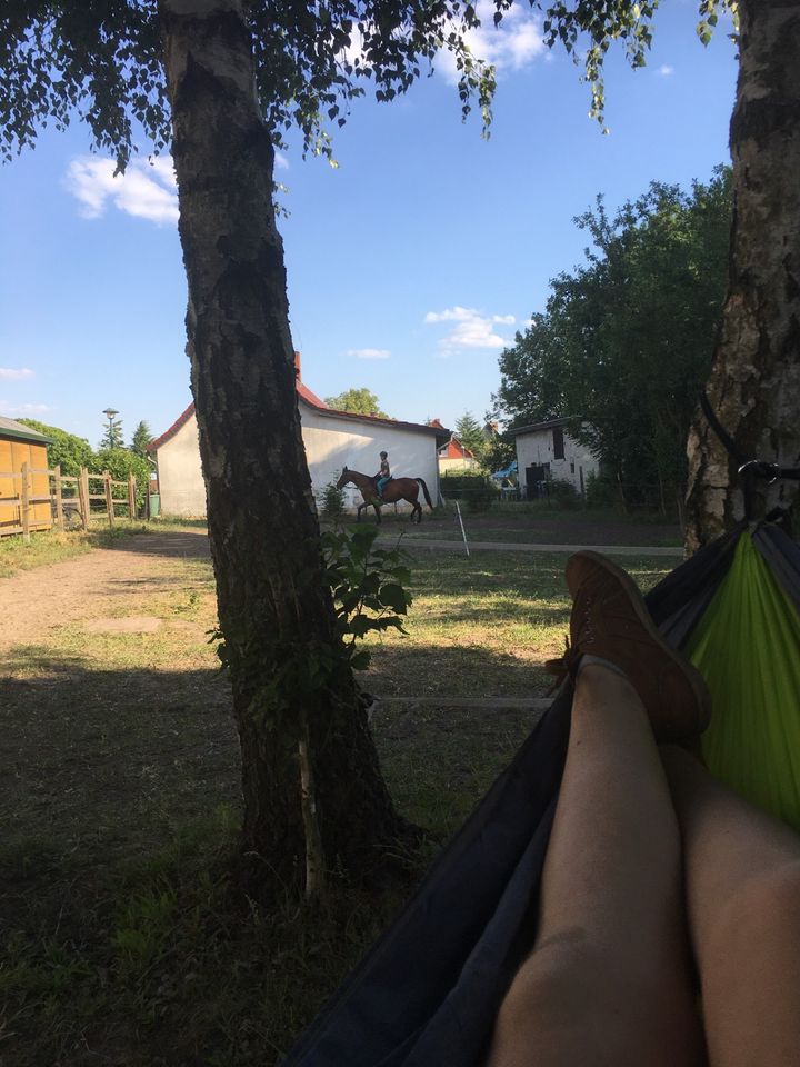 Reiterferien; Kinderbetreuung / Tagescamp für Pferdefans in Oberkrämer