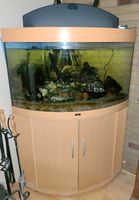 Eckaquarium Juwel 190l buche Rheinland-Pfalz - Boppard Vorschau