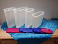 4x Eidgenosse Dose Tupperware Tupper Nordrhein-Westfalen - Mülheim (Ruhr) Vorschau