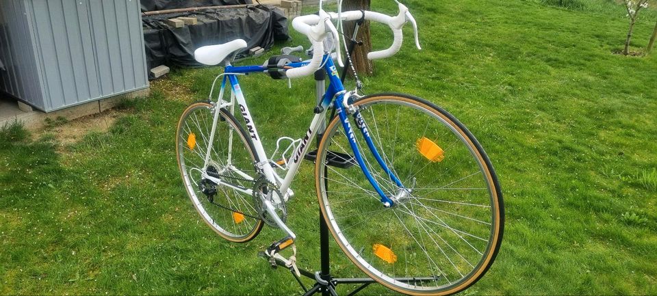 Giant Racer Rennrad Retro Vintage * Top Zustand * Alles Original in Wolnzach