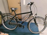 Herren Trekking Fahrrad 28 Zoll, RG 52cm Baden-Württemberg - Durmersheim Vorschau