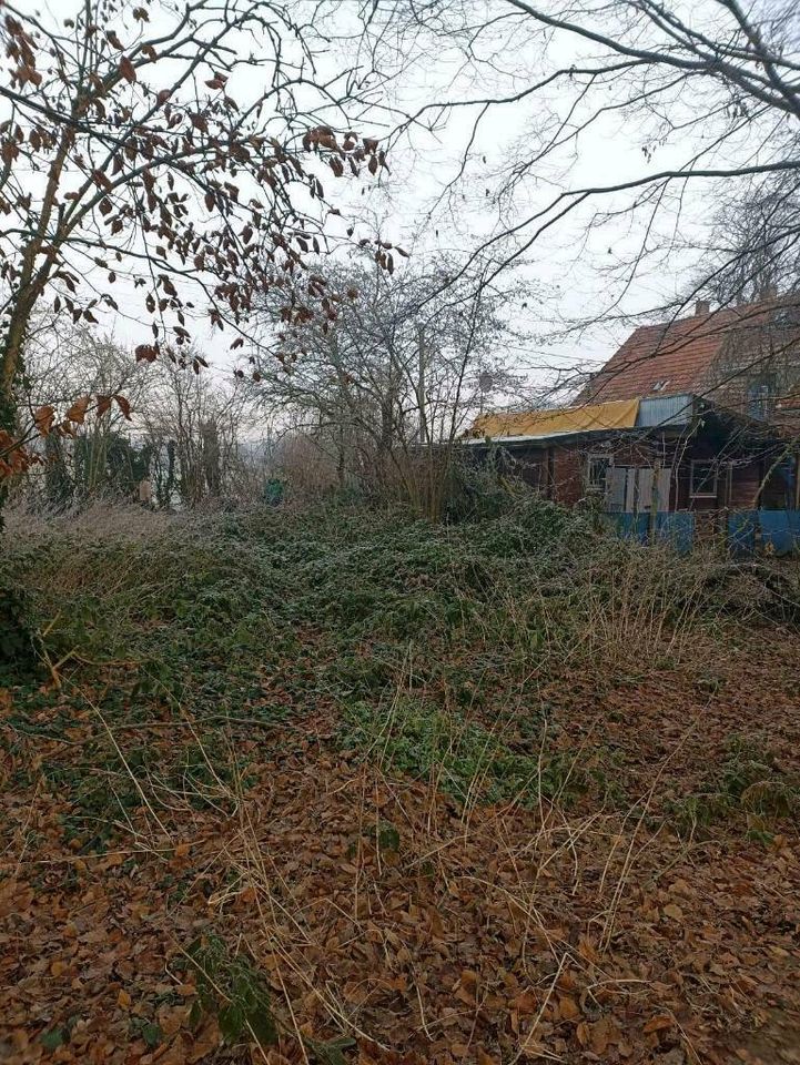 Grundstück Roden freiräumen Beräumung Grünschnitt Wildwuchs in Goch