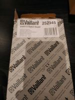 Vaillant Elektronischer Regler 252945 Brandenburg - Ferch Vorschau