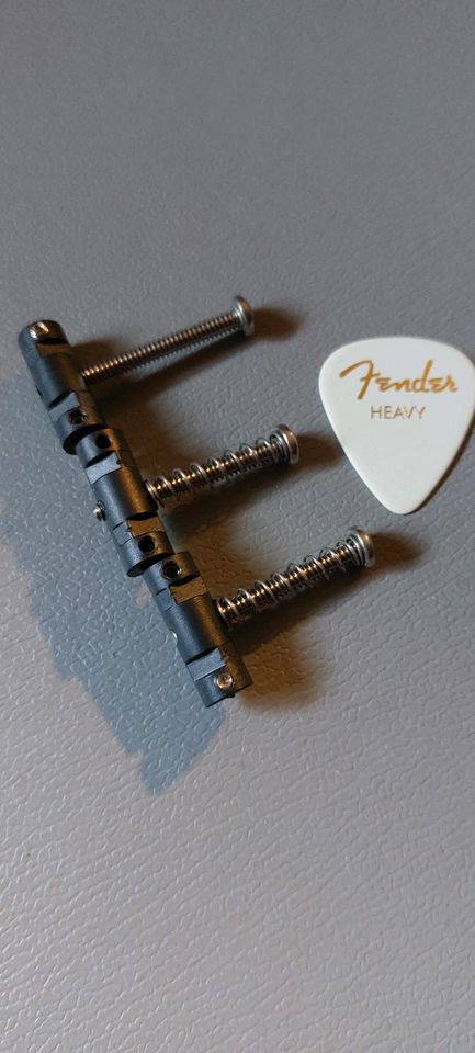 Graph Tech PS-8163-00 String Saver mit Fender Plek Vintage in Leverkusen