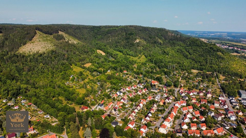 EFH zum Gestallten * tolle Lage * Jena Alt Lobeda in Jena