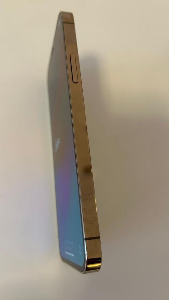 iPhone 12 pro in Gold 128 GB  super Zustand in Dortmund