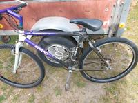 Giant Cadex 3 Carbon Fiber Mountain Nordrhein-Westfalen - Kranenburg Vorschau