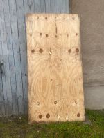 Seekieferplatte Holz Platte Schaltafel Bodenplatte 2,50 x 1,25m Sachsen - Trebsen Vorschau