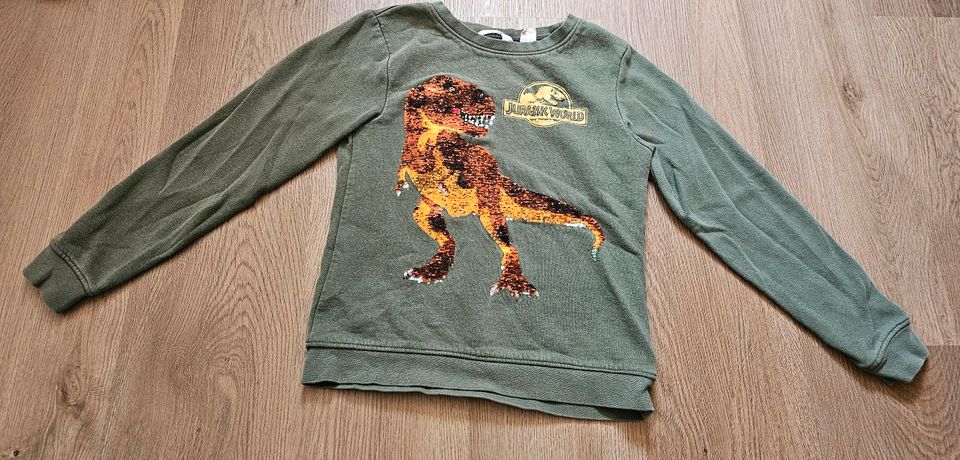 Pullover, Dino, Sweatshirt, 134 140, H&m in Herzhorn