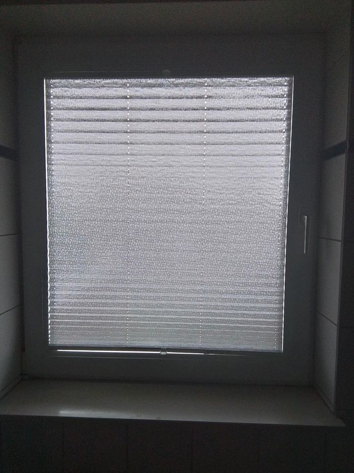 Plissees für Fenster in Seggebruch