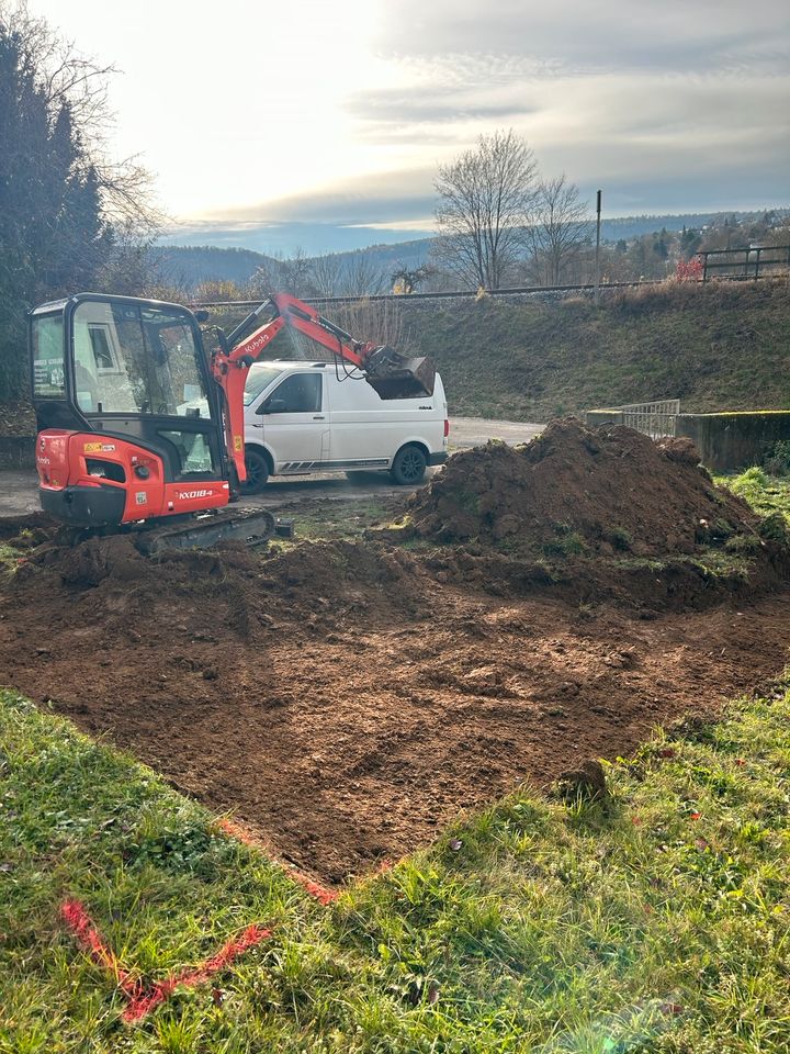 Heckenrodung, Wurzelentfernung, Gartenbegradigung in Ingolstadt