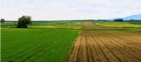 Ackerland und Wiese zu verkaufen Bayern - Landau a d Isar Vorschau