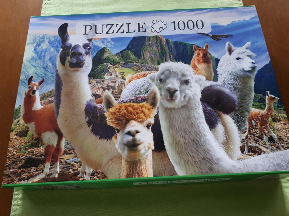 Puzzle 1000 Teile in Essen