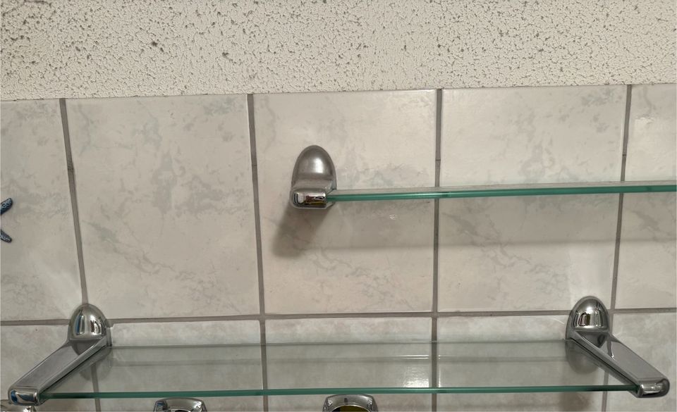 2 Glasablagen  Badezimmer in Schorfheide