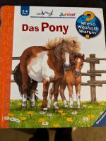 Wieso Weshalb Warum Das Pony Niedersachsen - Seelze Vorschau