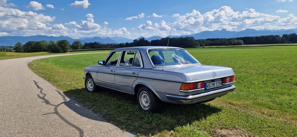 MB 280E W123 in Raubling