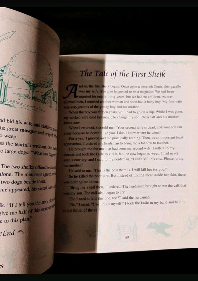 Kinderbuch Englisch/ The everything fairy tales book in Hamburg