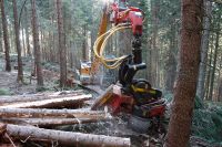 Harvester / Holzeinschlag / Holzvollernter / Durchforstung /Käfer Bayern - Thurnau Vorschau