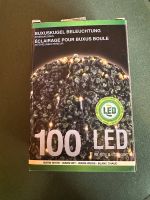 ⭐️ Lichterkette Buchsbaumkugel Warmweiß 100 LED Indoor, Outdoor Woltmershausen - Rablinghausen Vorschau