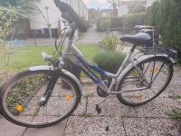 Fahrrad 28zoll Nordrhein-Westfalen - Meschede Vorschau