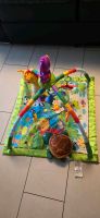 Spieldecke Fisher-Price Nordrhein-Westfalen - Solingen Vorschau