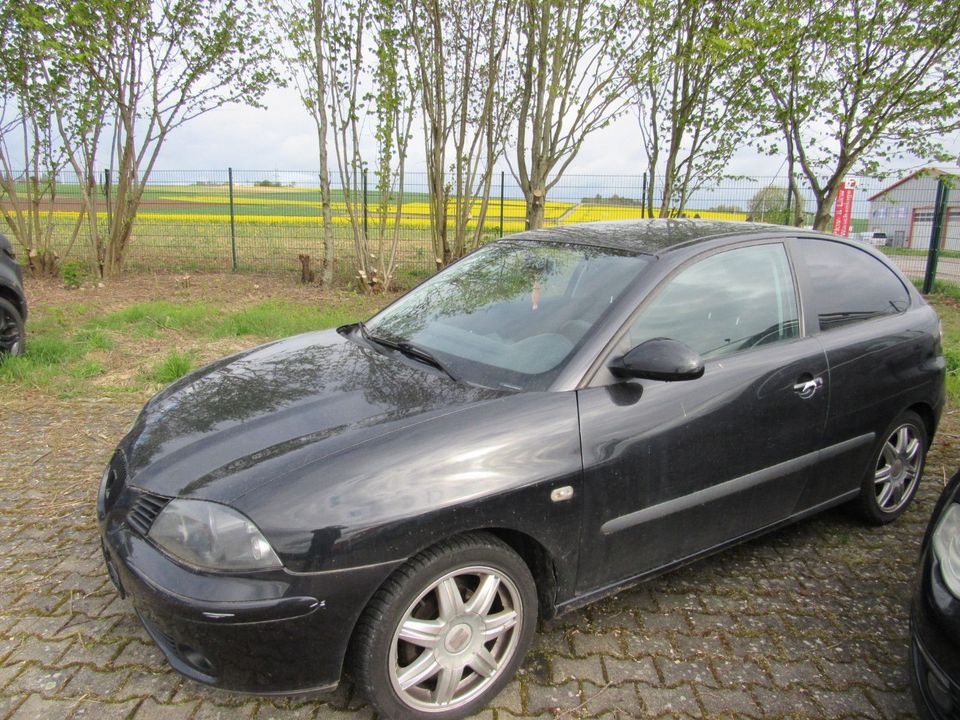 Seat Ibiza Sport Edition in Neustadt