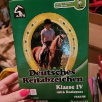 PC Spiele Deutsches Reitabzeichen Übung München - Allach-Untermenzing Vorschau
