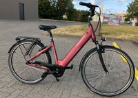Elektro Fahrrad E Bike / Rücktrittbremse / 7 Gang / LED Licht Mecklenburg-Vorpommern - Greifswald Vorschau