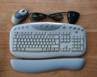 Logitech Tastatur kabellos + Mouse + Funk Empfänger Nordrhein-Westfalen - Overath Vorschau