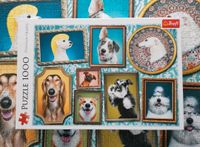 Trefl,1000Teile Puzzle,Hunde,Puzzel,Pussel Niedersachsen - Bomlitz Vorschau