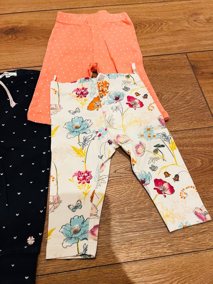 Set 5 Leggins Gr. 68 Noppies, Tchibo, BabyClub, Liegelind in Lienen