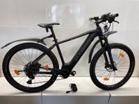 ‼️ Axess Element 29 Zoll E-Bike schwarz Fahrrad 12 Gang SRAM Rock Niedersachsen - Wunstorf Vorschau