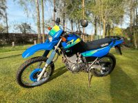 Yamaha XT600 E - amerikanische Ausführung Nordrhein-Westfalen - Delbrück Vorschau