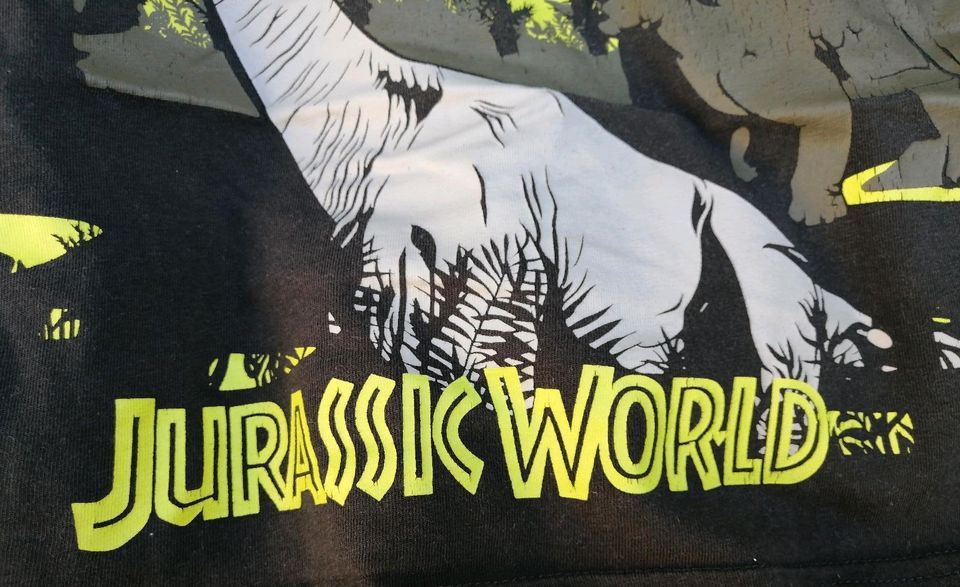 2x Jurassic World T Shirt Gr. 110/116 Dino in München