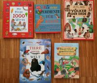 5 Kinderbücher Bauernhof Tiere englisch Experimente Atlas Dresden - Tolkewitz Vorschau