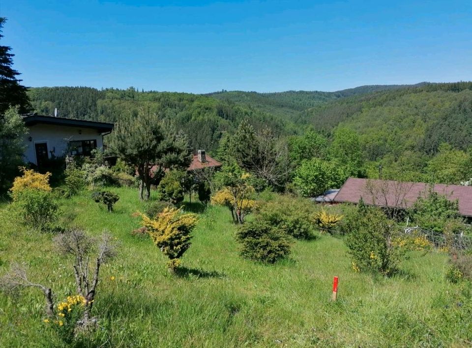 Bauplatz in Friedrichsdorf /Eberbach /Odenwald in Riedstadt