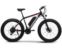 E Bike Fahrrad 26 Zoll 1000 Watt 4,0 fette Reifen LCD Display NEU München - Bogenhausen Vorschau