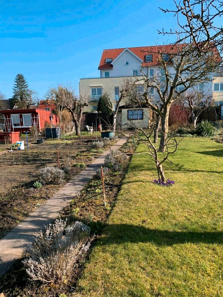 Kleingarten in Rostock