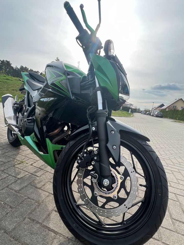 Kawasaki Z 300 ABS in Wildau