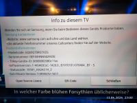 Samsung tv 65 Zoll Nordrhein-Westfalen - Siegen Vorschau