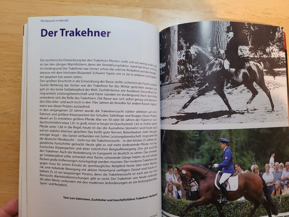 Dressurstudien - Klassisch contra Classique, Ausbildung Pferd in Frankfurt am Main