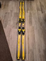 Ski von Salomon Evolution Monocoque Hessen - Brombachtal Vorschau