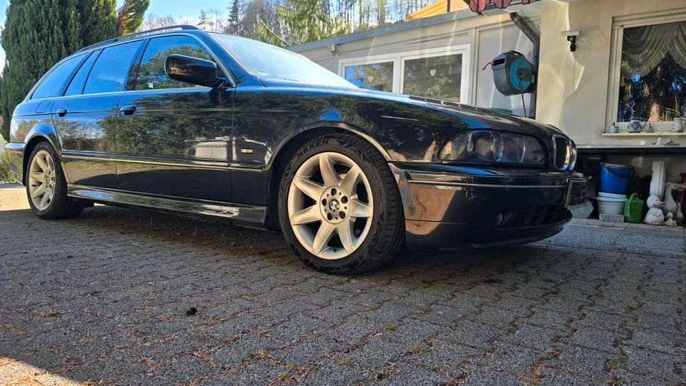 BMW E39 530d Touring Handschalter Exclusive Individual Nappa in Aitrach