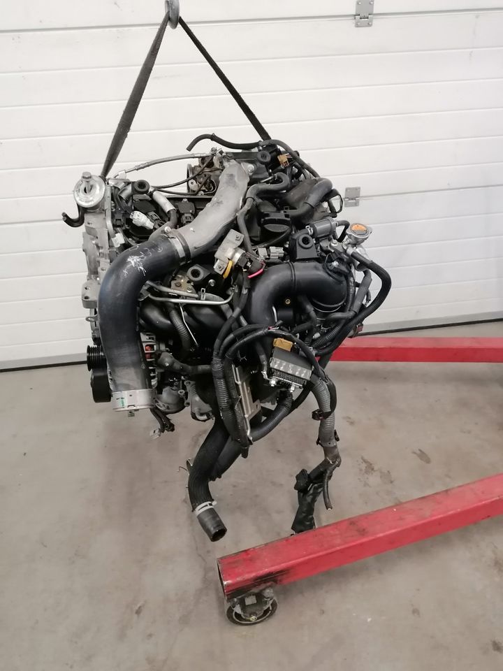 Motor Komplett NISSAN JUKE MR16DDT 1,6 DIG-T 54.000km 12 Monate in Küstriner Vorland