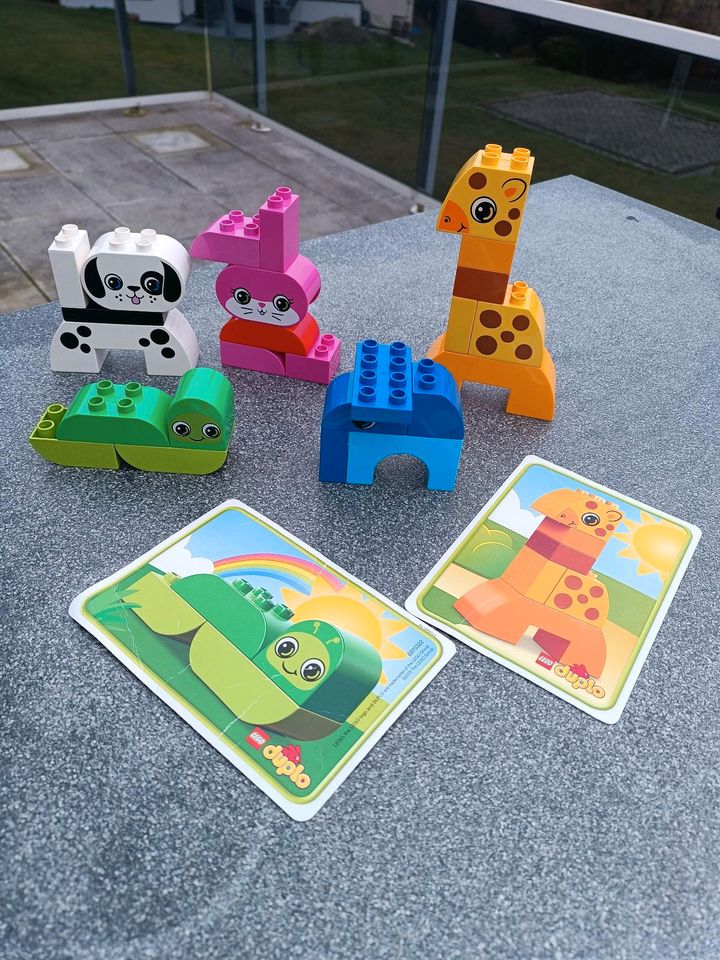 Lego Duplo 10573  lustige Tiere mit Karten als Bauabteilung in Meinerzhagen