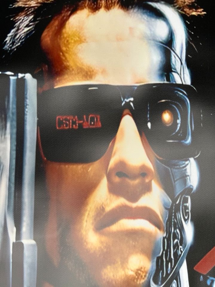 Terminator 2 Meter Banner Kino Videothek Schwarzenegger Bild in Chemnitz