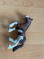 Schleich Pferd Nordrhein-Westfalen - Oberhausen Vorschau