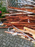 Brennholz Holz Dachlatten Nordrhein-Westfalen - Lienen Vorschau